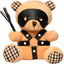 Master Series BDSM Teddy Bear Plushy