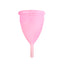 Femintimate Eve Menstrual Cup