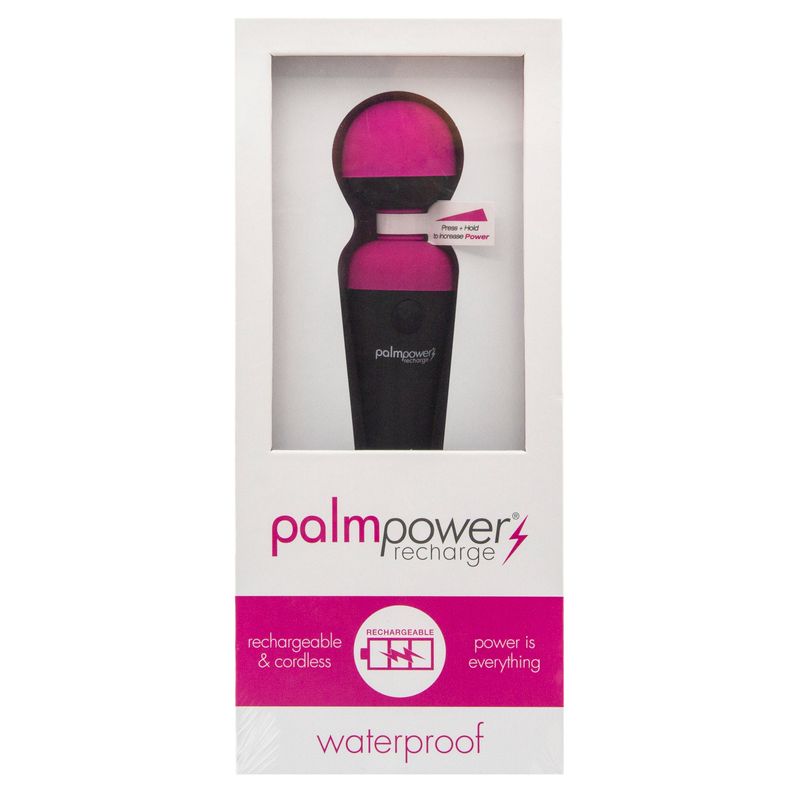 PalmPower Rechargeable Waterproof Massage Wand