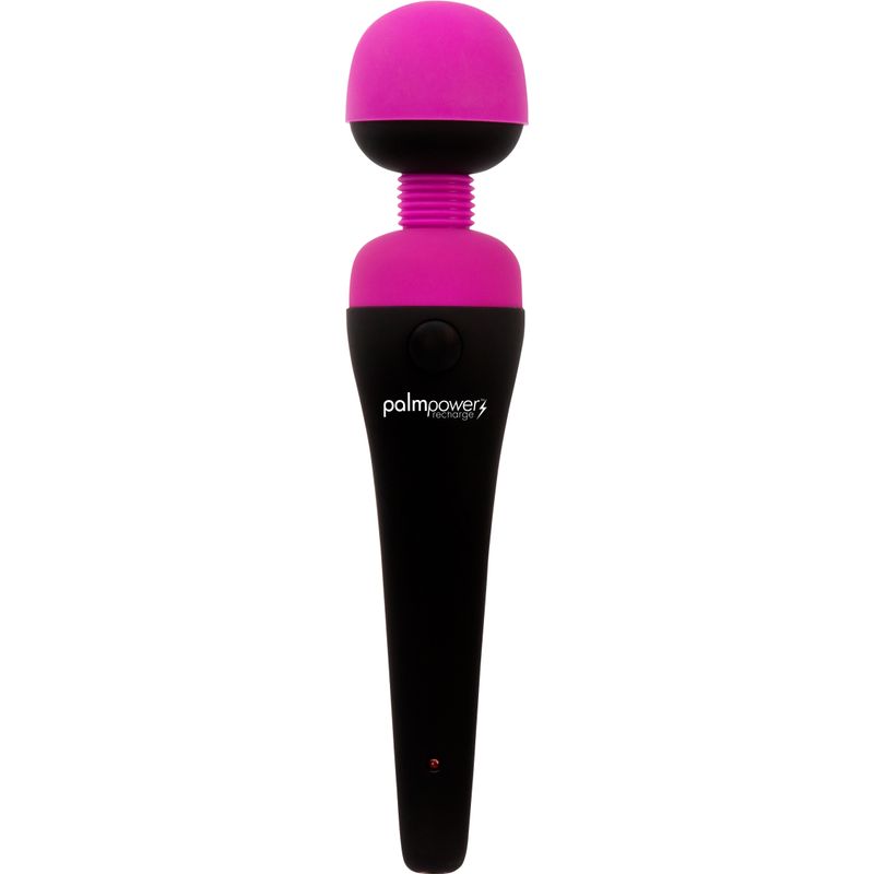 PalmPower Rechargeable Waterproof Massage Wand