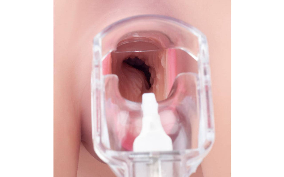 Daytona Helen Hot Female Love Torso With Head Secondary image