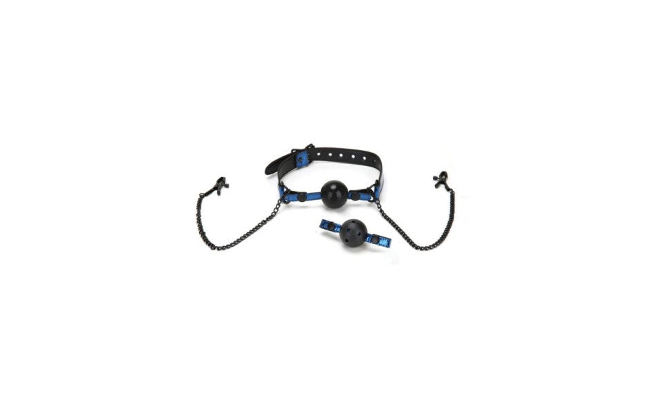 Whipsmart Diamond Ball Gag & Nipple Clips