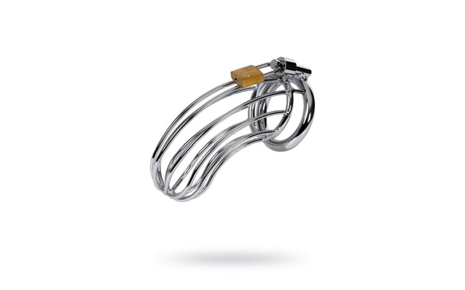 ToyFA Metal Silver Metal Birdcage Cock Cage Main image