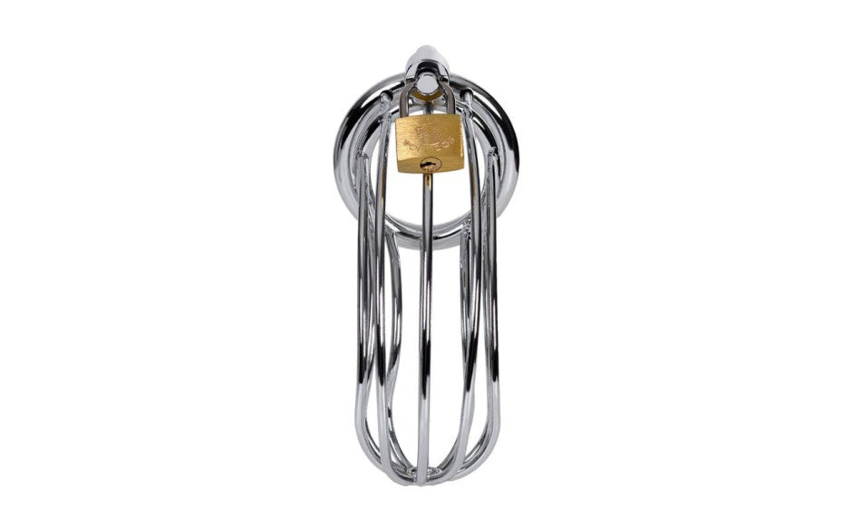 ToyFA Metal Silver Metal Birdcage Cock Cage Secondary image