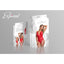 Exposed Lingerie High Leg Star Teddy Large