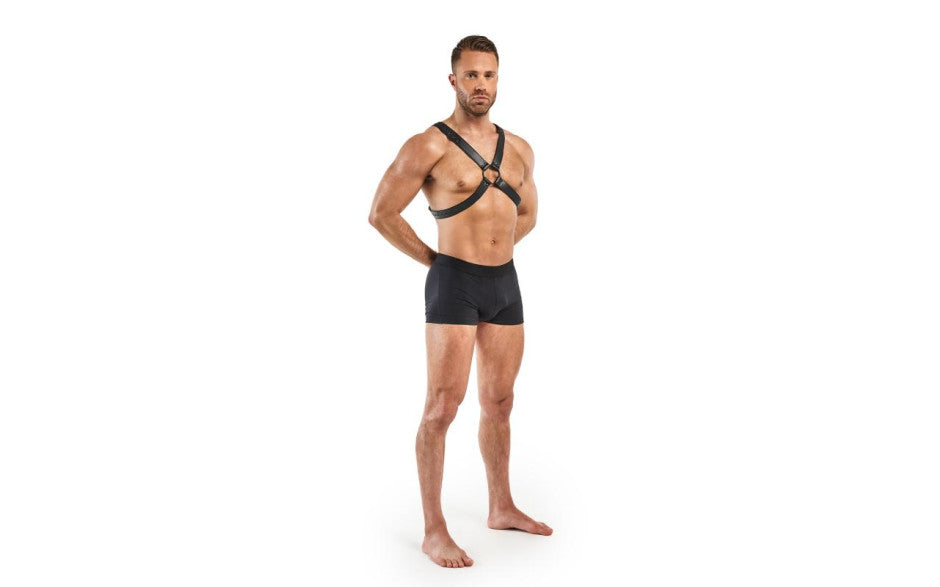 Bedroom Fantasies Lionel Bondage Harness Black