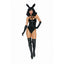 Dreamgirl Lingerie Bad Girl Bunny Womens Sexy Costume Dream Girl Lingerie