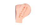 ToyFA Juicy Amanda Realistic Butt Mens Masturbator