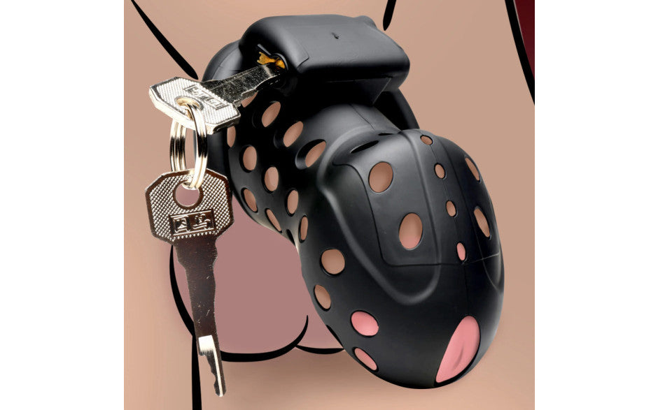 XR Brands Master Series Lock Down Male Chastity Cage