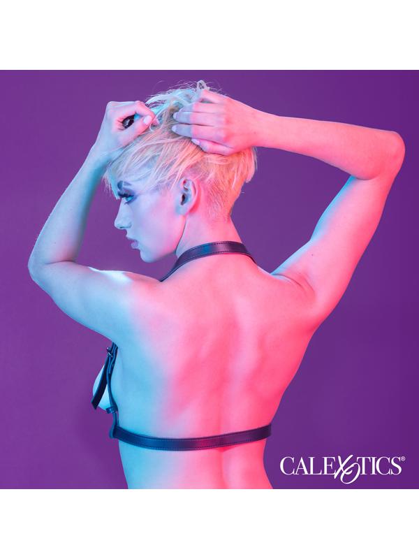 Euphoria Collection Halter Buckle Harness CalExotics
