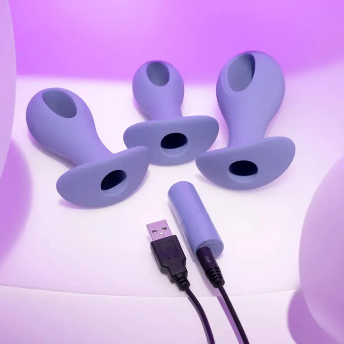 Evolved HOLE PUNCH PLUG SET Butt Plugs With Interchangeable Bullet Set Of 3 Sizes Evolved