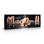 XR Brands Master Series Trapped Wrist & Ankle Stocks XR Brands