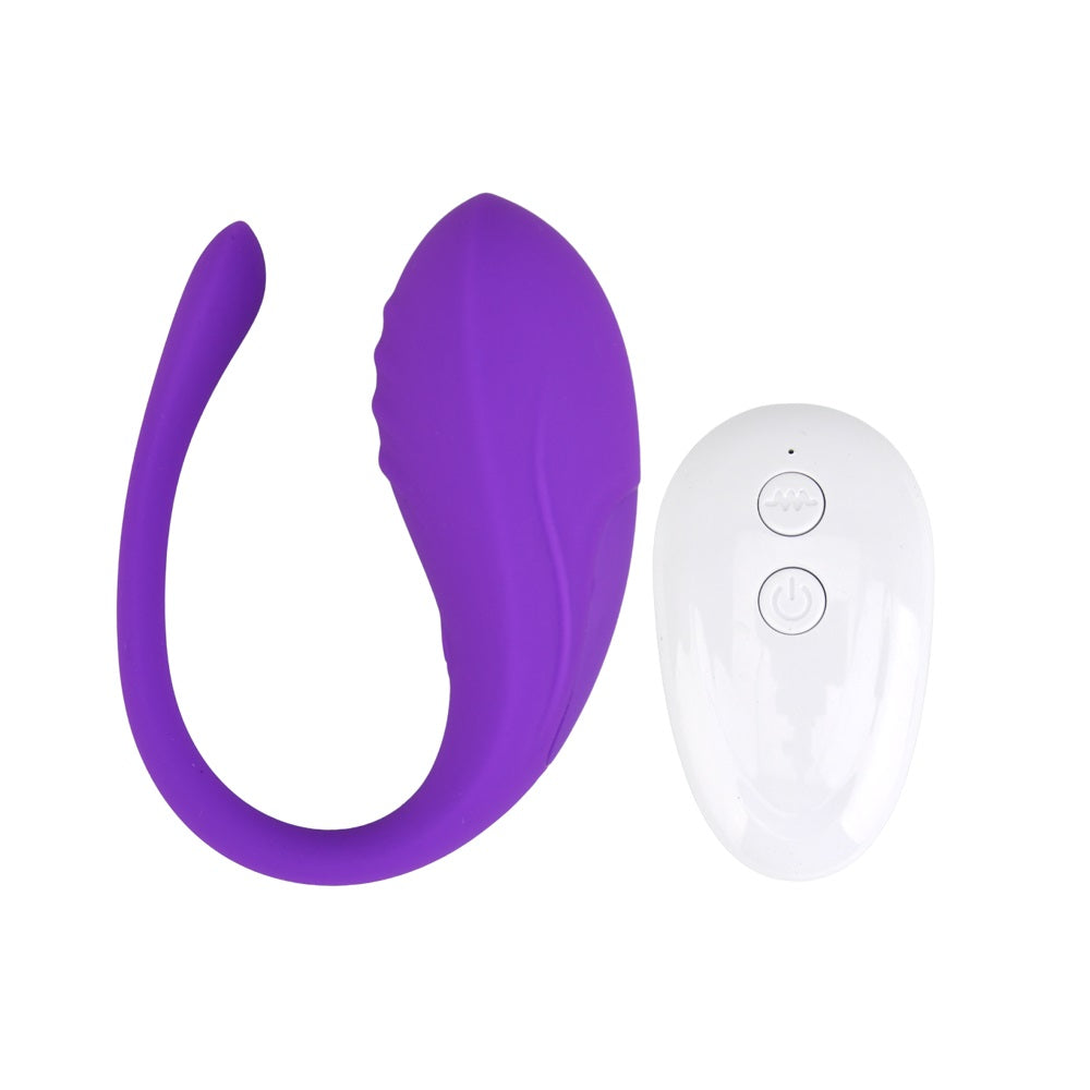 Loving Joy Remote Controlled Love Egg Vibrator Main image