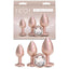 NS Novelties Rear Assets Trainer Kit Metallic Butt Plugs Set Of 3 Sizes NS Novelties