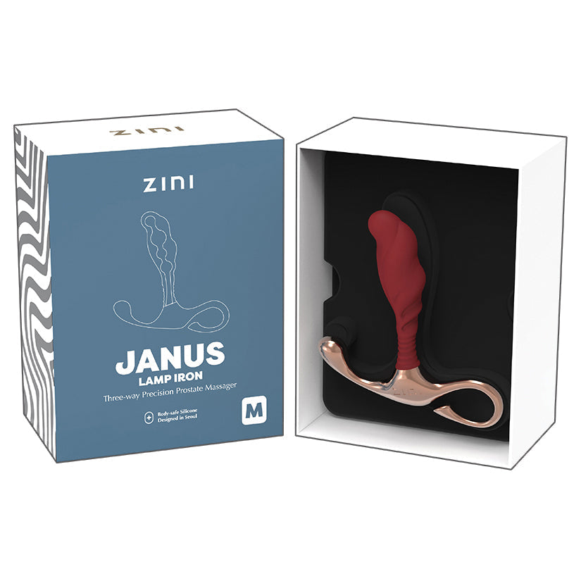 Zini Janus Lamp Iron Bordeaux Anal Plug Medium Main image