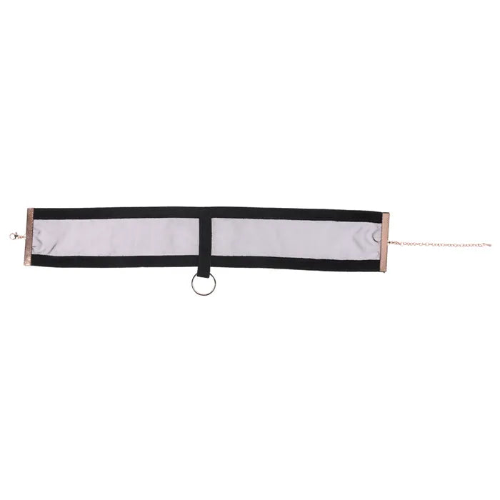 Sportsheets Sex & Mischief Sheer Day Collar Sportsheets