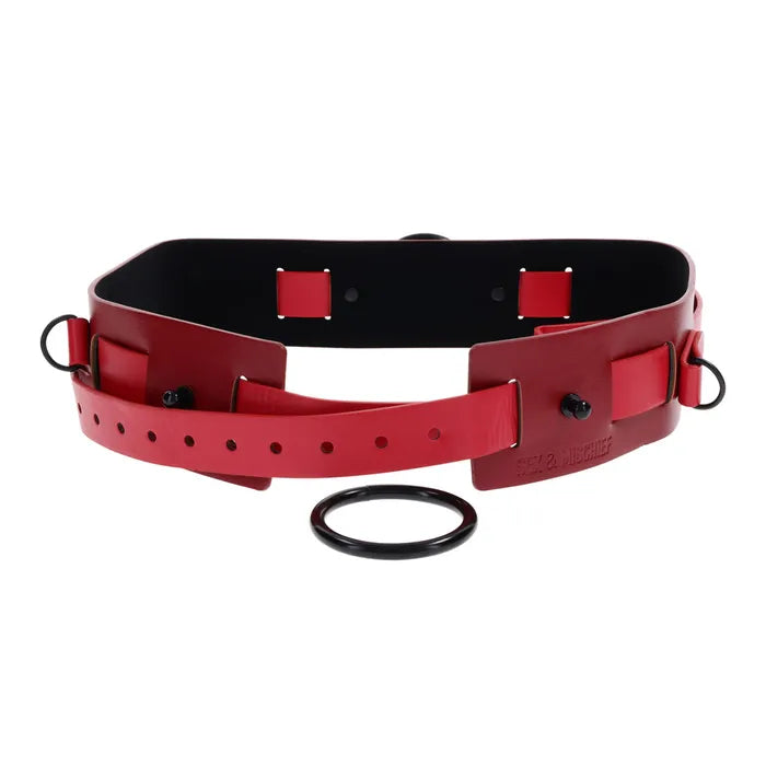S&M Exs & Ohs Bound and Belted Bondage Collar Sportsheets