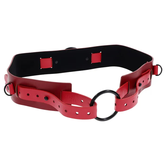 S&M Exs & Ohs Bound and Belted Bondage Collar Sportsheets