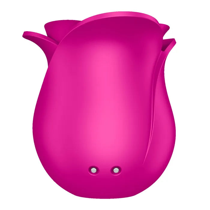 Satisfyer Pro 2 Modern Blossom USB Rechargeable Air Pulse Rose Stimulator Satisfyer