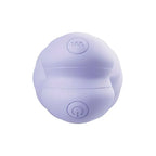 Adam & Eve SPIRAL LOVE USB Rechargeable Wearable Vibrating Egg With Wireless Remote Purple Adam & Eve
