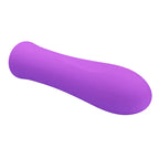 Party Up GARY USB Rechargeable Bullet Vibrator 10.2cm Purple