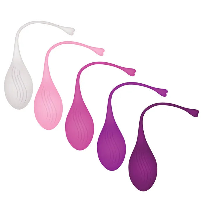 Evolved TIGHT & DELIGHT Kegel Trainer Set 5 Piece Kit Evolved