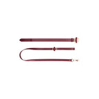OUCH! Halo Collar With Leash Restraint Burgundy Shots Toys