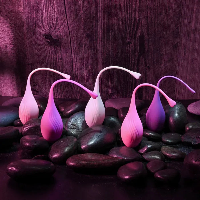 Evolved TIGHT & DELIGHT Kegel Trainer Set 5 Piece Kit Evolved